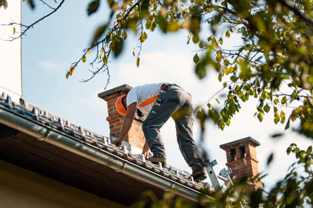 Best Chimney Flashing Repair  in Reese, MI