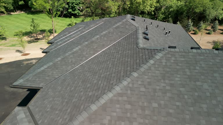 Best Roof Leak Repair  in Reese, MI