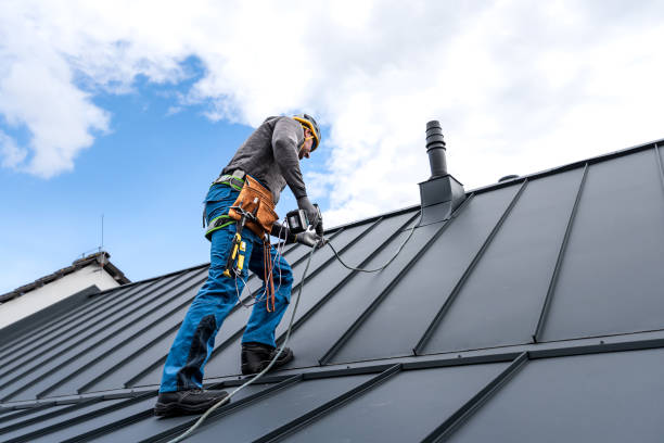 Best Solar Panel Roofing Installation  in Reese, MI