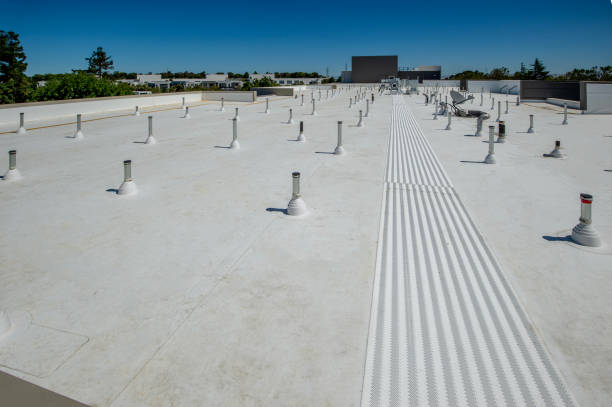 Best Cold Roofs  in Reese, MI